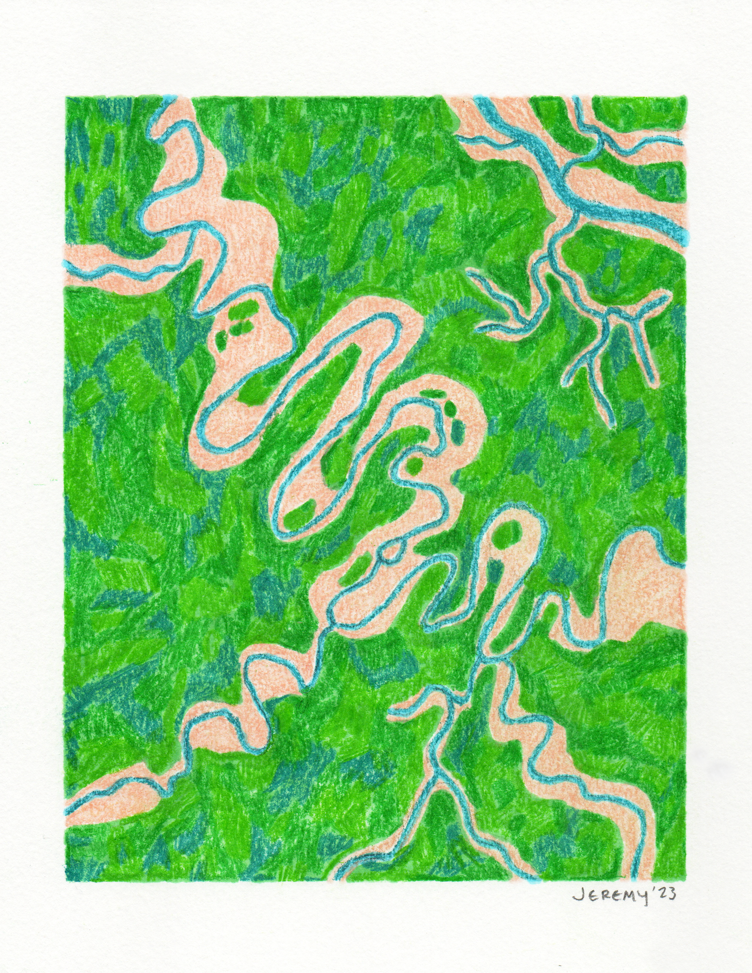 Case Study Image